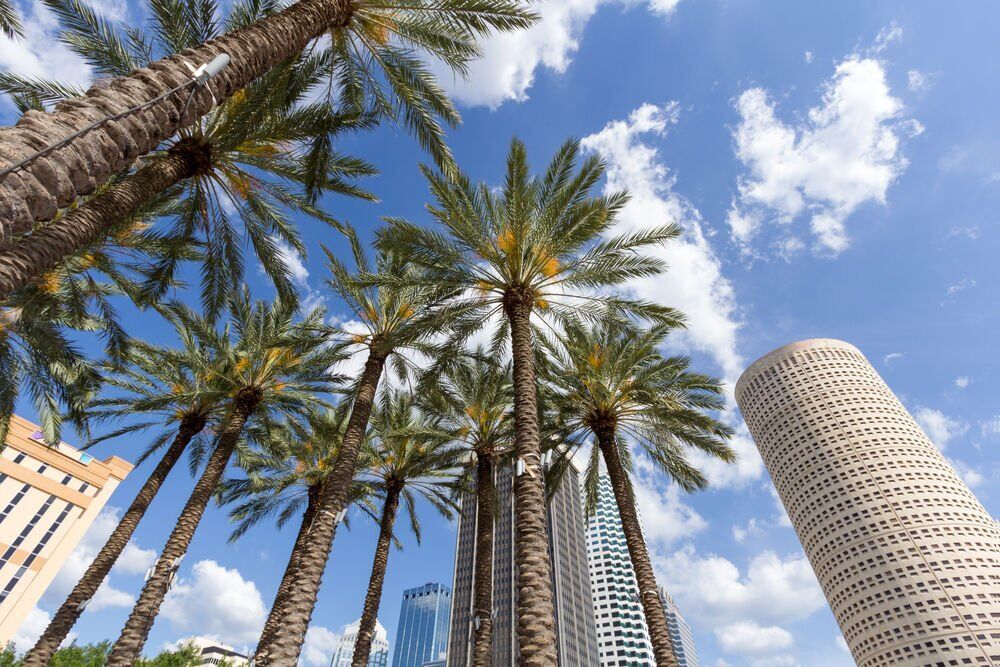 15. Tampa-St. Petersburg-Clearwater, FL